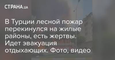 В Турции лесной пожар перекинулся на жилые районы, есть жертвы. Идет эвакуация отдыхающих. Фото, видео - strana.ua - Украина - Турция