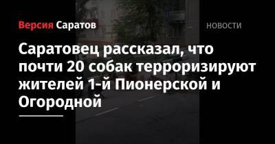 Алексей Захаров - Горожанин рассказал, что почти 20 собак терроризируют жителей 1-й Пионерской и Огородной - nversia.ru - район Заводский
