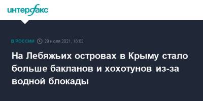 Сергей Наливайко - На Лебяжьих островах в Крыму стало больше бакланов и хохотунов из-за водной блокады - interfax.ru - Москва - Россия - Украина - Крым