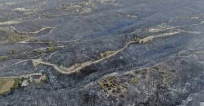 В Турции начали эвакуацию туристов из-за лесных пожаров - rus.delfi.lv - Латвия - Turkey - провинция Анталья - Мармарис