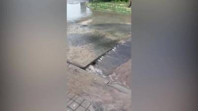 На проспекте Кима поднялся асфальт из-за прорыва трубы - piter.tv - Санкт-Петербург