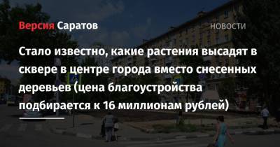 Стало известно, какие растения высадят в сквере в центре города вместо снесенных деревьев (цена благоустройства подбирается к 16 миллионам рублей) - nversia.ru - Саратов - район Фрунзенский