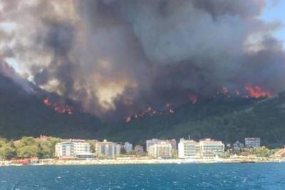 В Турции лесные пожары вспыхнули в Бодруме - mk.ru - Турция - провинция Анталья