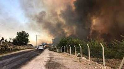 Бекир Пакдемирли - В Турции появились первые жертвы опустошительных лесных пожаров - lenta.ua - Украина - Турция - провинция Анталья