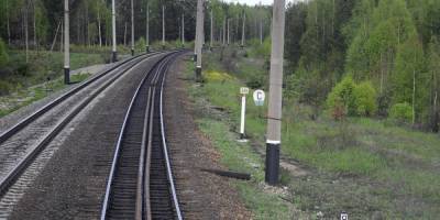 Контролер высадила двух девочек в глуши под Челябинском из-за отсутствия у них наличных на билет - ruposters.ru - Челябинская обл. - Челябинск