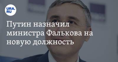 Владимир Путин - Дмитрий Чернышенко - Валерий Фальков - Путин назначил министра Фалькова на новую должность - ura.news - Россия