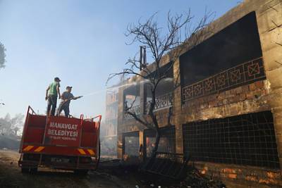 Бекир Пакдемирли - Названо число пострадавших из-за лесных пожаров в Турции - lenta.ru - Турция - провинция Анталья
