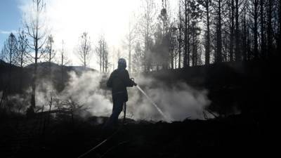 Количество пострадавших из-за лесных пожаров в Турции возросло до 180 человек - inforeactor.ru - Турция - Мармарис