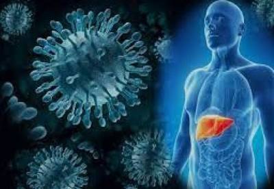 Медик развеял три мифа о гепатите - facenews.ua - Украина
