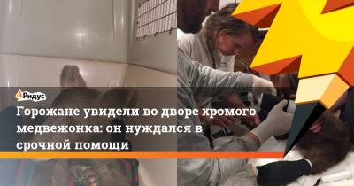 Горожане увидели во дворе хромого медвежонка: он нуждался в срочной помощи - ridus.ru - США - шт. Калифорния