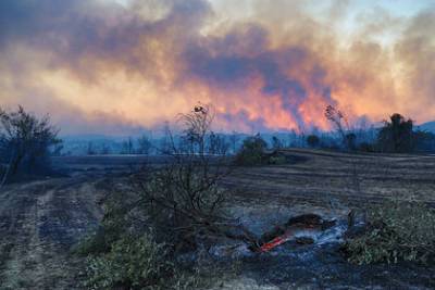Российское консульство рассказало о ситуации вокруг лесных пожаров в Турции - lenta.ru - Турция - Мармарис