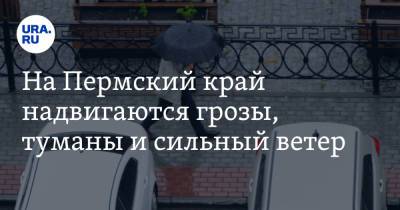 На Пермский край надвигаются грозы, туманы и сильный ветер - ura.news - Россия - Пермский край