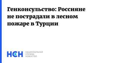 Генконсульство: Россияне не пострадали в лесном пожаре в Турции - nsn.fm - Россия - Турция - Россияне
