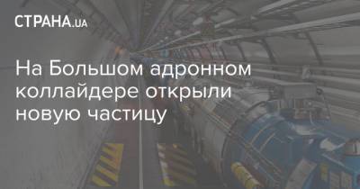 На Большом адронном коллайдере открыли новую частицу - strana.ua - Украина - Новосибирск