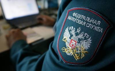 Обратный отсчет: сможет ли ФНС победить интернет-мошенников? - eadaily.com