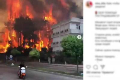 Опубликованы страшные видео подступивших к отелям пожаров в Турции - mk.ru - Турция
