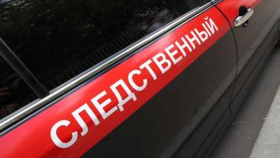 Александр Бастрыкин - Бастрыкин поручил проверить данные о возможном оскорблении ветеранов в спектакле - iz.ru - Москва - Россия - Израиль