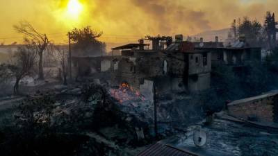 Реджеп Тайип Эрдоган - Эрдоган объявил о мобилизации сил для борьбы с лесными пожарами - iz.ru - Израиль - Турция - провинция Анталья