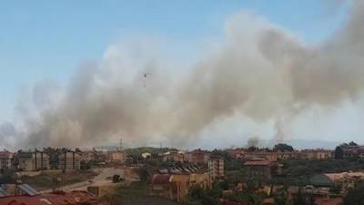 Бекир Пакдемирли - Власти Турции сообщили, что лесными пожарами охвачены на юге страны семь провинций - argumenti.ru - Турция