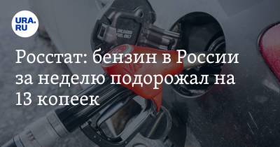 Росстат: бензин в России за неделю подорожал на 13 копеек - ura.news - Россия - Владивосток