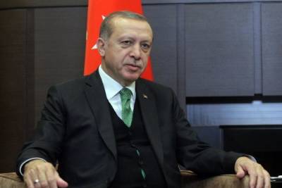 Реджеп Эрдоган - Эрдоган заявил о мобилизации всех сил на борьбу с пожарами - mk.ru - Турция - провинция Анталья