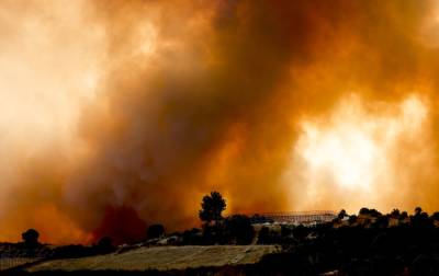 Ибрагим Калын - У Эрдогана лесные пожары в Турции назвали национальным бедствием - novostiua.news - Украина - Турция - Мармарис