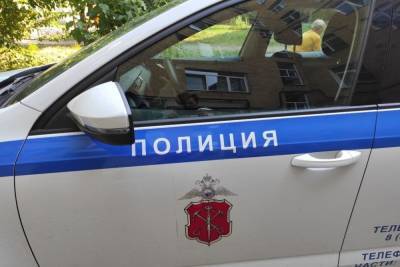 На проспекте Энтузиастов полицейским пришлось ловить и успокаивать голого мужчину - spb.mk.ru - Санкт-Петербург