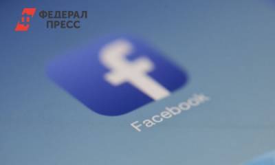 Екатерина Мизулина - Общественник о штрафе для Facebook: «Правильное решение» - fedpress.ru - Москва - Россия