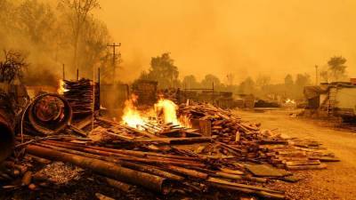 Число погибших из-за лесных пожаров в Турции увеличилось до четырех - iz.ru - Израиль - Турция - провинция Анталья