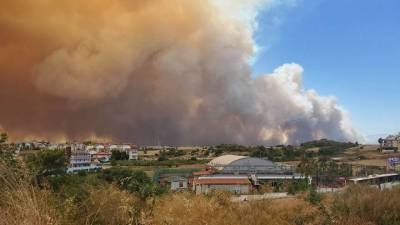 Бекир Пакдемирли - Число жертв лесных пожаров в Турции выросло до четырех - vm.ru - Россия - Турция