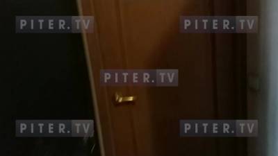 В Кировском районе задержали подозреваемых в организации незаконного игорного бизнеса - piter.tv - Санкт-Петербург