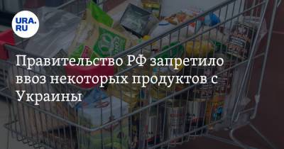 Владимир Зеленский - Владимир Путин - Правительство РФ запретило ввоз некоторых продуктов с Украины. Список - ura.news - Россия - Украина - Киев - Царьград