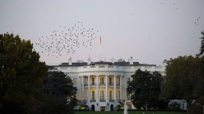 Джен Псаки - В США назвали отвлекающим маневром закрытие границ Белоруссии с Украиной - gazeta.ru - США - Украина - Вашингтон - Белоруссия - Минск
