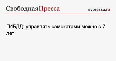 Михаил Черников - ГИБДД: управлять самокатами можно с 7 лет - svpressa.ru - Москва - Россия - Санкт-Петербург