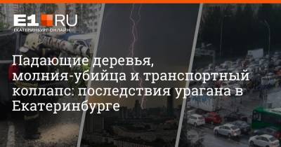 Падающие деревья, молния-убийца и транспортный коллапс: последствия урагана в Екатеринбурге - e1.ru - Россия - Екатеринбург - Свердловская обл. - Урал
