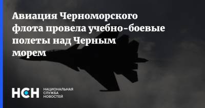 Авиация Черноморского флота провела учебно-боевые полеты над Черным морем - nsn.fm - Россия - Черное Море