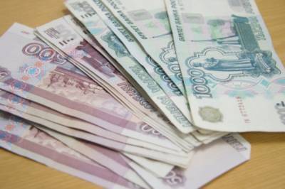 Владимир Путин - В Хабкрае более 14 тысяч детей получают максимальную денежную выплату - hab.aif.ru - Россия - Хабаровский край