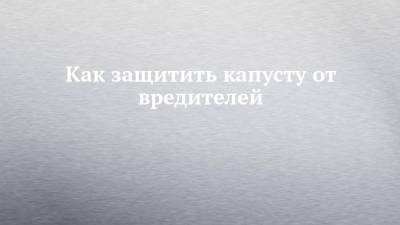 Как защитить капусту от вредителей - chelny-izvest.ru