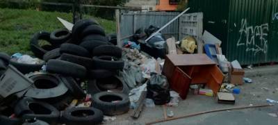 Жительница Петрозаводска рассказала, как кишащая крысами помойка «шуршит и позвякивает» (ВИДЕО) - stolicaonego.ru - Петрозаводск