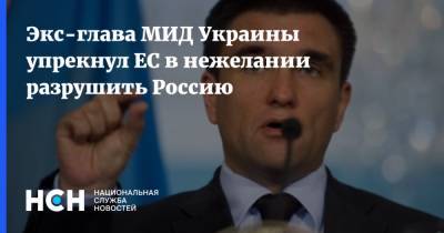 Павел Климкин - Экс-глава МИД Украины упрекнул ЕС в нежелании разрушить Россию - nsn.fm - Москва - Россия - США - Украина - Киев - Вашингтон - Литва