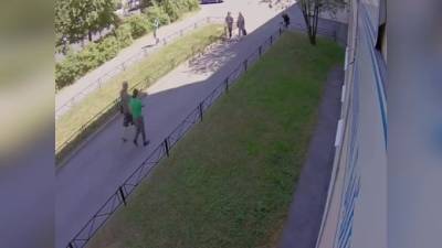 На улице Академика Байкова неадекват похитил собаку - piter.tv - Санкт-Петербург