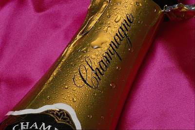 Путин подписал закон, запрещающий французам называть свое игристое вино шампанским - nakanune.ru - Россия