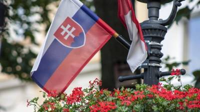 Россия выкупила у Словакии неиспользованную вакцину "Спутник V" - piter.tv - Москва - Россия - Словакия - Братислава