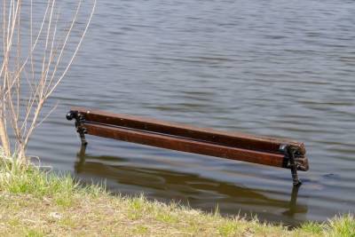 МЧС удалось утихомирить реку Явонь и освободить новгородские районы от воды - mk.ru - Новгородская обл.