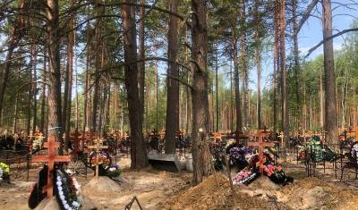 Строительство дорог на территории кладбищ в Червишево начнется в ближайшее время - nashgorod.ru