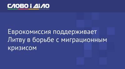 Еврокомиссия поддерживает Литву в борьбе с миграционным кризисом - ru.slovoidilo.ua - Украина - Белоруссия - Литва - Ляйен