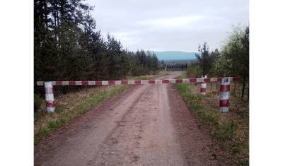 В девяти районах Башкирии запретили посещать леса до конца июля - mkset.ru - Башкирия - район Учалинский - район Зауралья