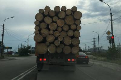 В Ростовской области упавшее с грузовика бревно привело к серьезному ДТП - aif.ru - Россия - Башкирия - Ростовская обл.