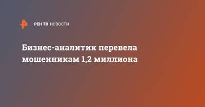 Бизнес-аналитик перевела мошенникам 1,2 миллиона - ren.tv - Москва