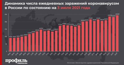 В России выявили свыше 24 тыс. новых случаев COVID-19 - profile.ru - Москва - Россия - Санкт-Петербург - Московская обл. - Магаданская обл. - Чукотка - окр.Ненецкий
